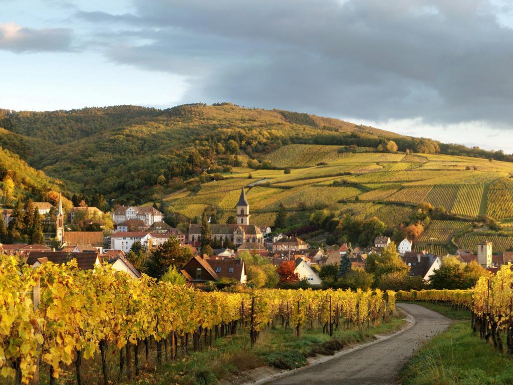 Gite Au Coeur De Ribeauville Eksteriør billede